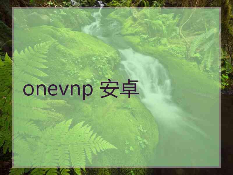 onevnp 安卓