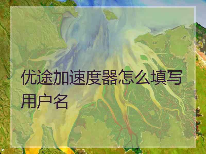 优途加速度器怎么填写用户名