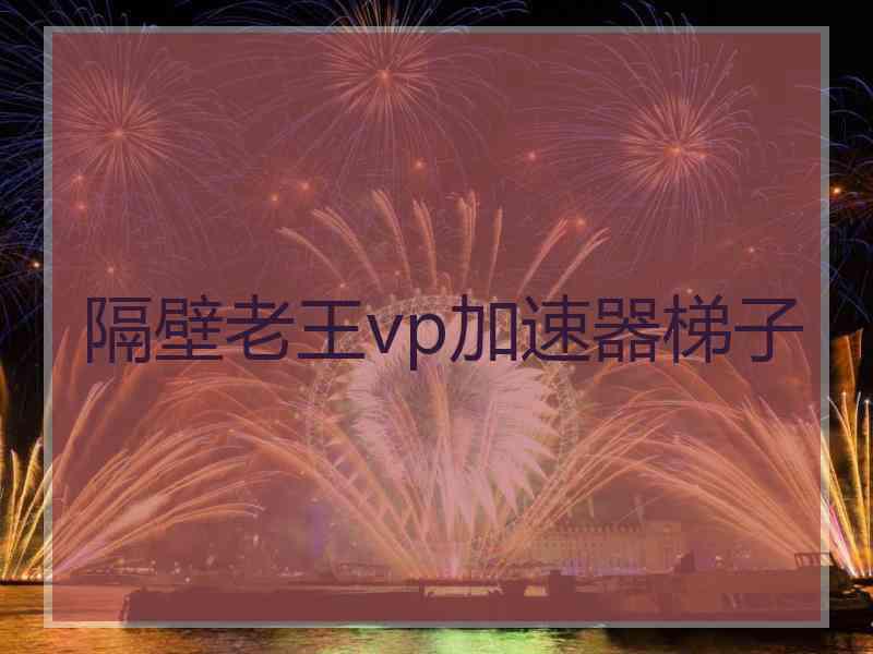 隔壁老王vp加速器梯子