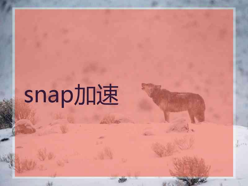 snap加速