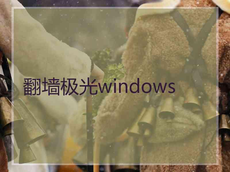 翻墙极光windows