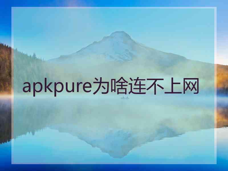 apkpure为啥连不上网