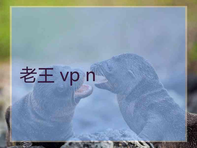 老王 vp n