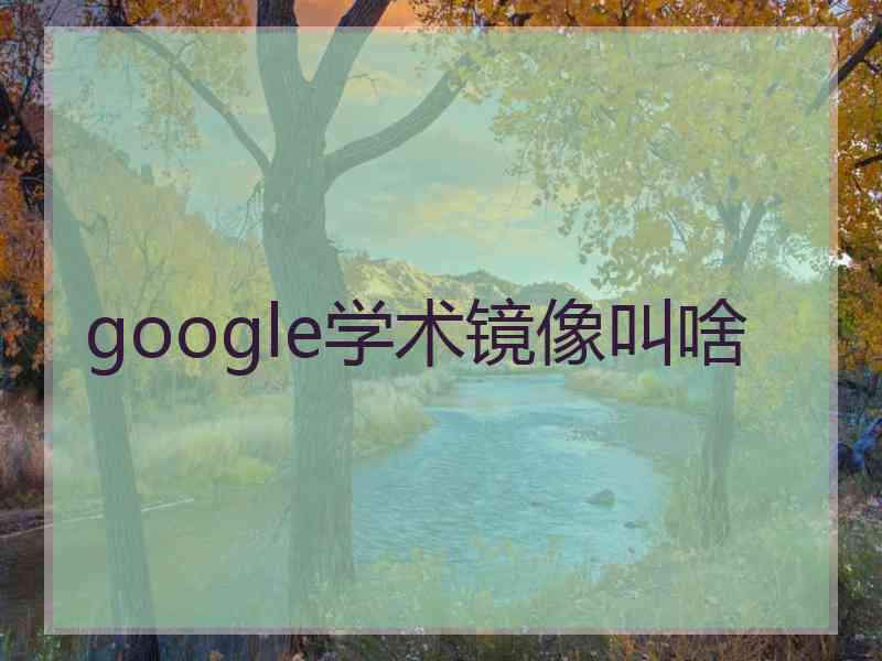 google学术镜像叫啥