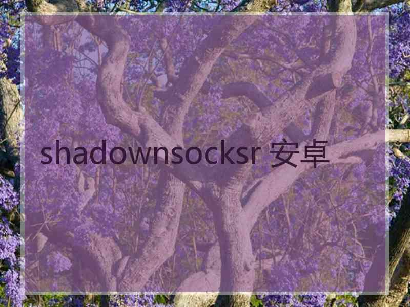 shadownsocksr 安卓