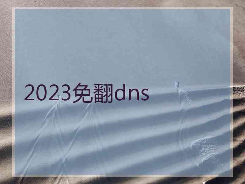 2023免翻dns