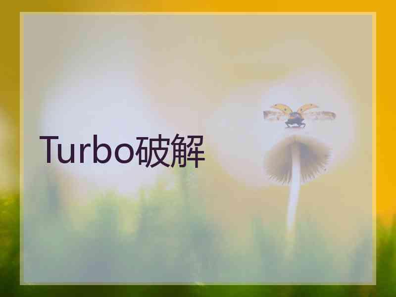 Turbo破解