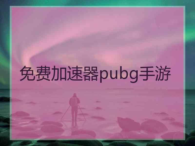 免费加速器pubg手游