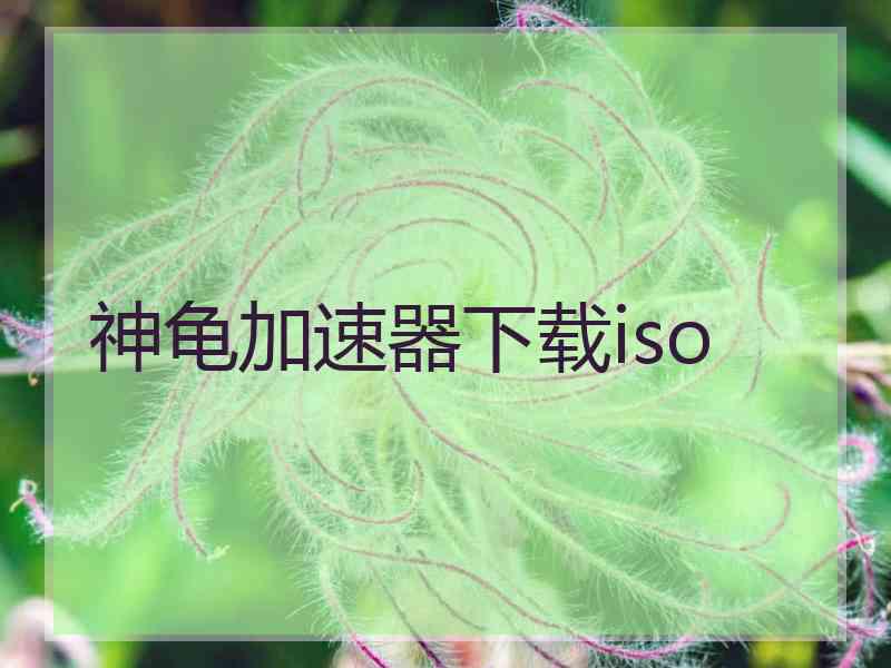 神龟加速器下载iso