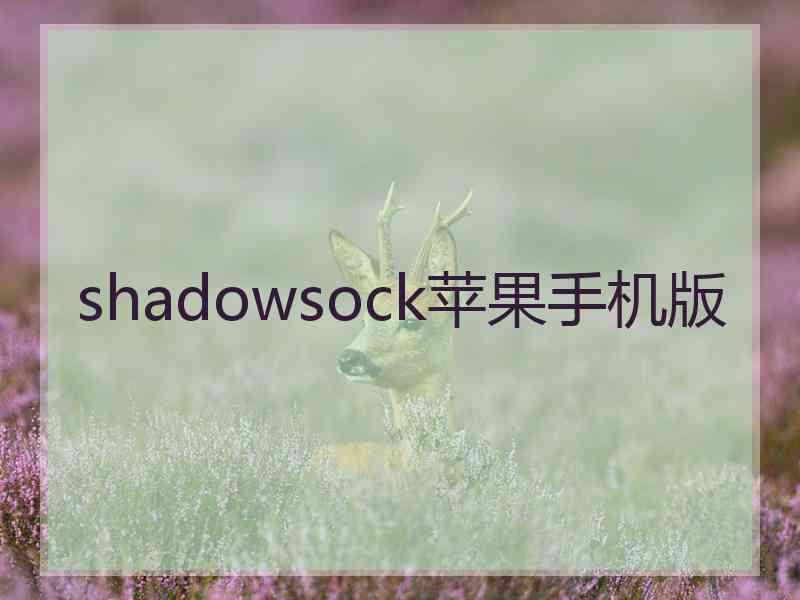 shadowsock苹果手机版