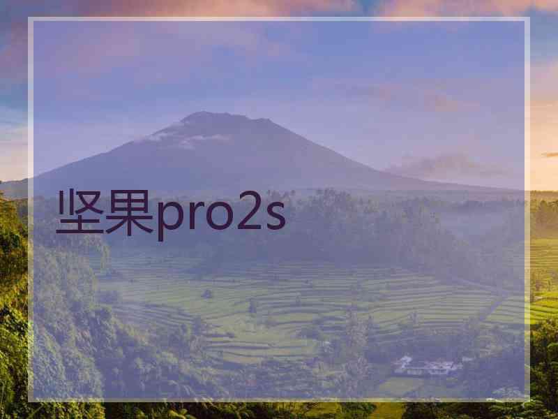 坚果pro2s