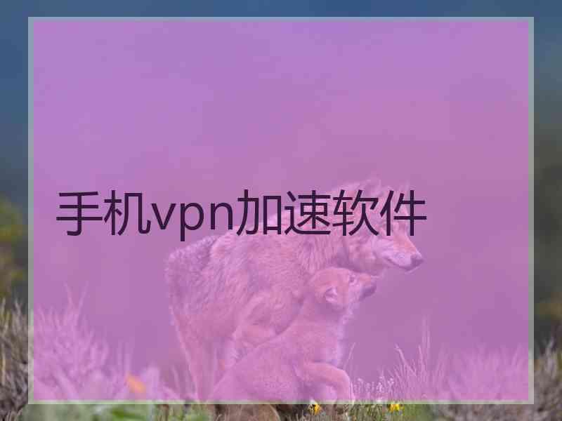 手机vpn加速软件