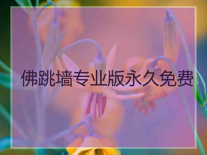 佛跳墙专业版永久免费