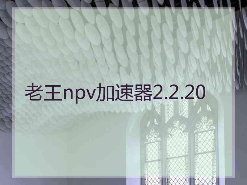 老王npv加速器2.2.20