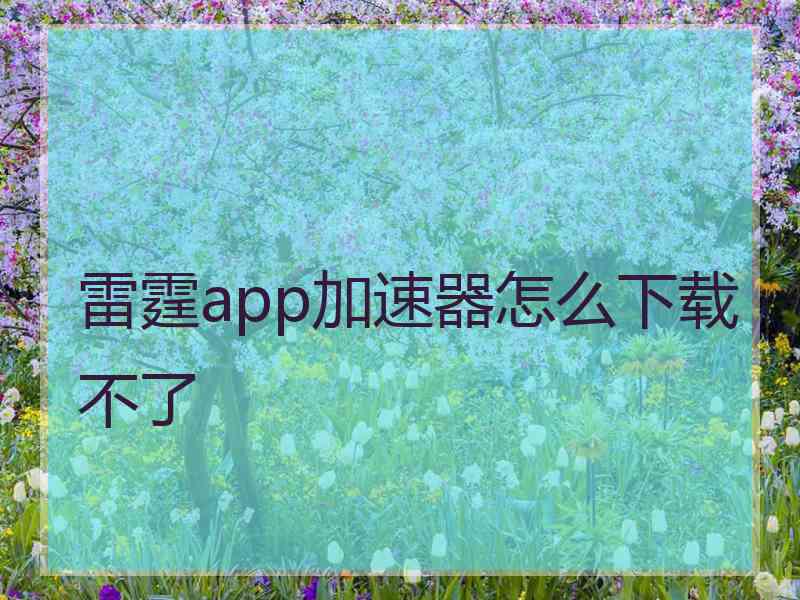 雷霆app加速器怎么下载不了