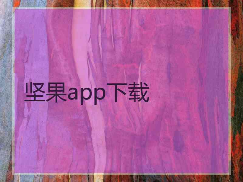 坚果app下载