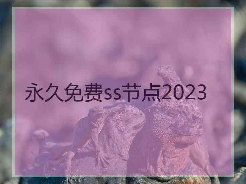 永久免费ss节点2023