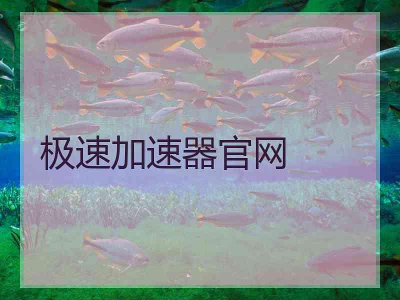 极速加速器官网