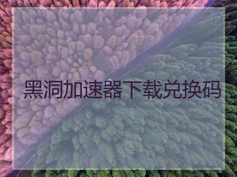 黑洞加速器下载兑换码