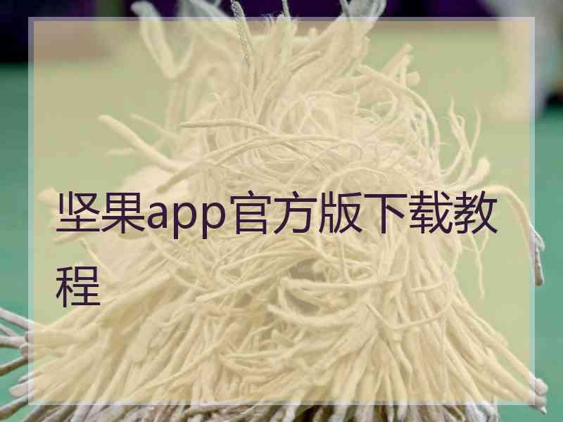 坚果app官方版下载教程