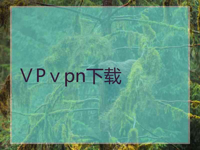 ⅤPⅴpn下载