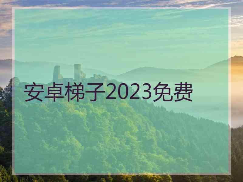 安卓梯子2023免费