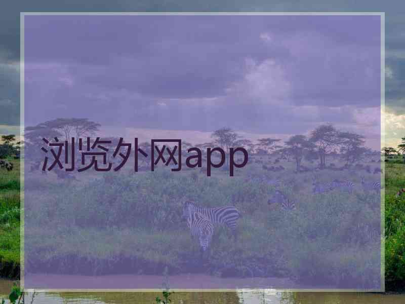 浏览外网app