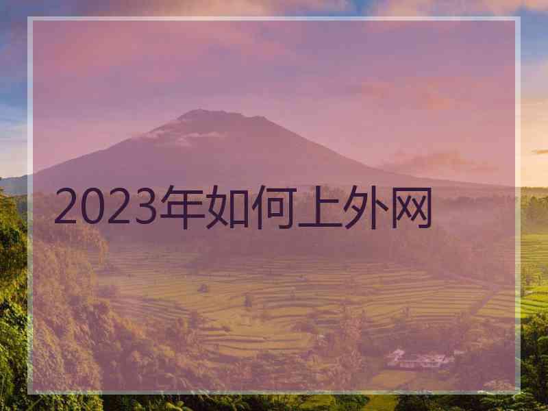 2023年如何上外网