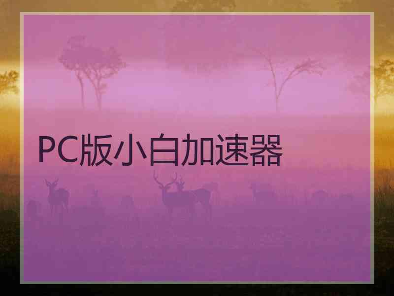 PC版小白加速器