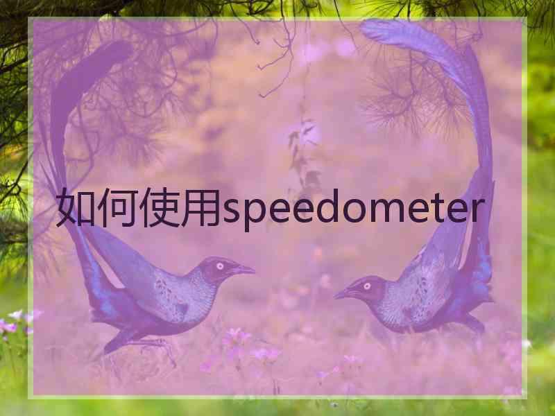 如何使用speedometer