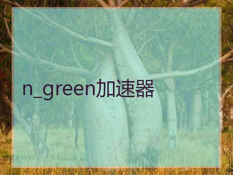 n_green加速器