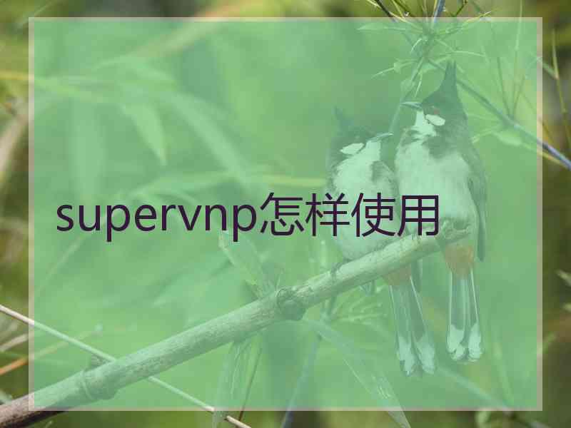 supervnp怎样使用