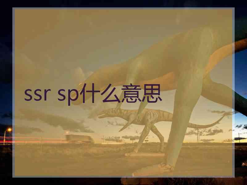 ssr sp什么意思