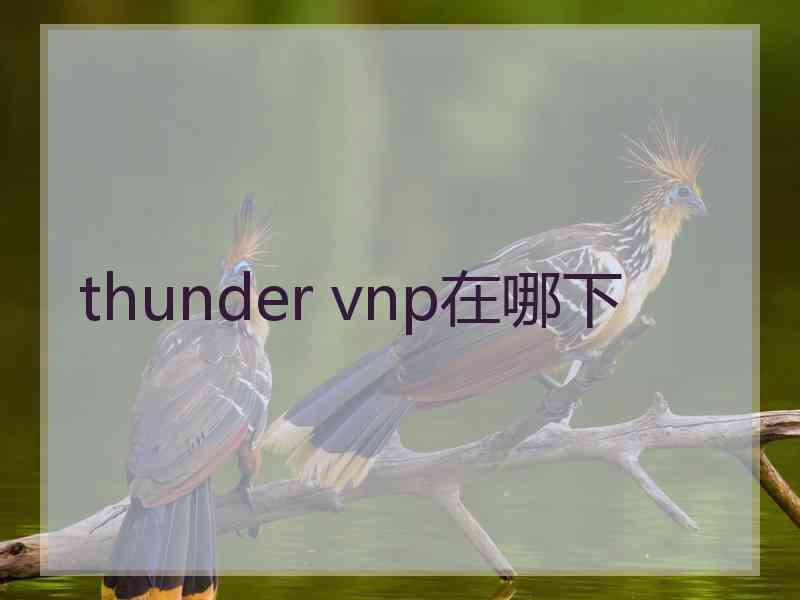 thunder vnp在哪下