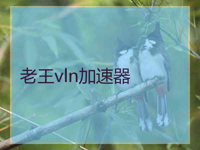 老王vln加速器