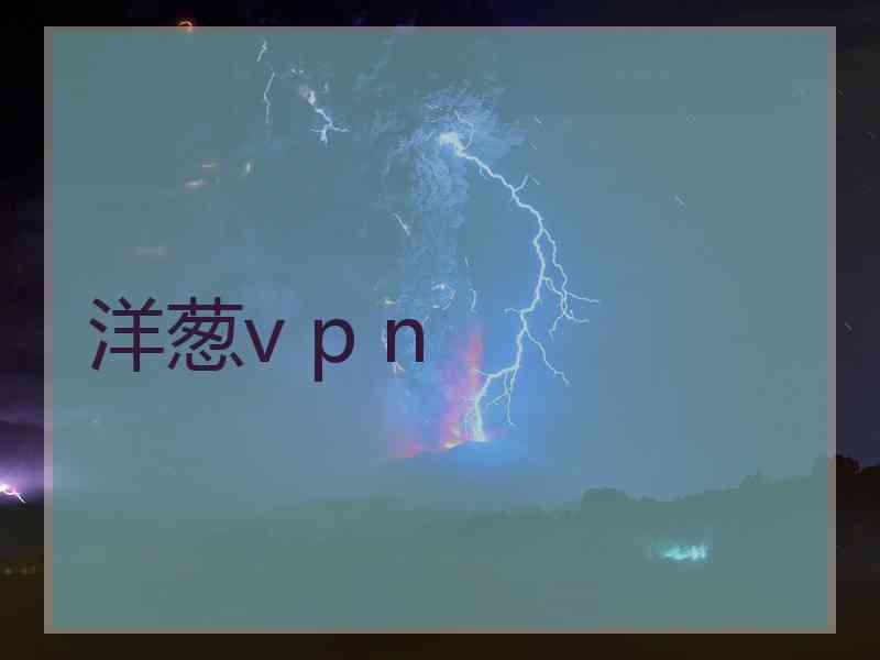 洋葱v p n